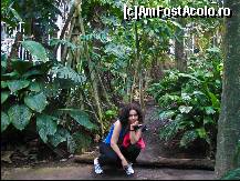 [P13] Camera padurii tropicale - CosmoCaixa, partea 3 » foto by C05T1N
 - 
<span class="allrVoted glyphicon glyphicon-heart hidden" id="av107498"></span>
<a class="m-l-10 hidden" id="sv107498" onclick="voting_Foto_DelVot(,107498,11796)" role="button">șterge vot <span class="glyphicon glyphicon-remove"></span></a>
<a id="v9107498" class=" c-red"  onclick="voting_Foto_SetVot(107498)" role="button"><span class="glyphicon glyphicon-heart-empty"></span> <b>LIKE</b> = Votează poza</a> <img class="hidden"  id="f107498W9" src="/imagini/loader.gif" border="0" /><span class="AjErrMes hidden" id="e107498ErM"></span>