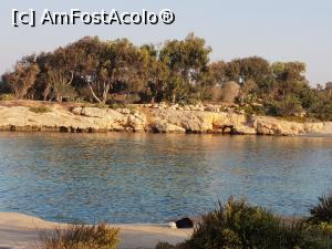 [P03] Mic golfulet langa plaja Nissi » foto by MadaColt
 - 
<span class="allrVoted glyphicon glyphicon-heart hidden" id="av1005406"></span>
<a class="m-l-10 hidden" id="sv1005406" onclick="voting_Foto_DelVot(,1005406,11855)" role="button">șterge vot <span class="glyphicon glyphicon-remove"></span></a>
<a id="v91005406" class=" c-red"  onclick="voting_Foto_SetVot(1005406)" role="button"><span class="glyphicon glyphicon-heart-empty"></span> <b>LIKE</b> = Votează poza</a> <img class="hidden"  id="f1005406W9" src="/imagini/loader.gif" border="0" /><span class="AjErrMes hidden" id="e1005406ErM"></span>