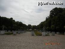 [P16] Ghivece cu portocali » foto by verobutterfly
 - 
<span class="allrVoted glyphicon glyphicon-heart hidden" id="av231251"></span>
<a class="m-l-10 hidden" id="sv231251" onclick="voting_Foto_DelVot(,231251,11886)" role="button">șterge vot <span class="glyphicon glyphicon-remove"></span></a>
<a id="v9231251" class=" c-red"  onclick="voting_Foto_SetVot(231251)" role="button"><span class="glyphicon glyphicon-heart-empty"></span> <b>LIKE</b> = Votează poza</a> <img class="hidden"  id="f231251W9" src="/imagini/loader.gif" border="0" /><span class="AjErrMes hidden" id="e231251ErM"></span>