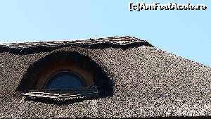 [P12]  -- <small>// FĂRĂ DESCRIERE</small> » foto by robert
 - 
<span class="allrVoted glyphicon glyphicon-heart hidden" id="av638856"></span>
<a class="m-l-10 hidden" id="sv638856" onclick="voting_Foto_DelVot(,638856,11916)" role="button">șterge vot <span class="glyphicon glyphicon-remove"></span></a>
<a id="v9638856" class=" c-red"  onclick="voting_Foto_SetVot(638856)" role="button"><span class="glyphicon glyphicon-heart-empty"></span> <b>LIKE</b> = Votează poza</a> <img class="hidden"  id="f638856W9" src="/imagini/loader.gif" border="0" /><span class="AjErrMes hidden" id="e638856ErM"></span>