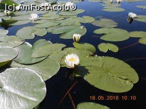 [P17]  -- <small>// FĂRĂ DESCRIERE</small> » foto by androstef
 - 
<span class="allrVoted glyphicon glyphicon-heart hidden" id="av968466"></span>
<a class="m-l-10 hidden" id="sv968466" onclick="voting_Foto_DelVot(,968466,11916)" role="button">șterge vot <span class="glyphicon glyphicon-remove"></span></a>
<a id="v9968466" class=" c-red"  onclick="voting_Foto_SetVot(968466)" role="button"><span class="glyphicon glyphicon-heart-empty"></span> <b>LIKE</b> = Votează poza</a> <img class="hidden"  id="f968466W9" src="/imagini/loader.gif" border="0" /><span class="AjErrMes hidden" id="e968466ErM"></span>