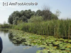 [P03] Mirifica Delta » foto by Ioanin
 - 
<span class="allrVoted glyphicon glyphicon-heart hidden" id="av782210"></span>
<a class="m-l-10 hidden" id="sv782210" onclick="voting_Foto_DelVot(,782210,11916)" role="button">șterge vot <span class="glyphicon glyphicon-remove"></span></a>
<a id="v9782210" class=" c-red"  onclick="voting_Foto_SetVot(782210)" role="button"><span class="glyphicon glyphicon-heart-empty"></span> <b>LIKE</b> = Votează poza</a> <img class="hidden"  id="f782210W9" src="/imagini/loader.gif" border="0" /><span class="AjErrMes hidden" id="e782210ErM"></span>