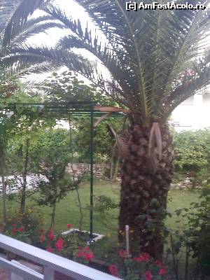 [P09] Vedere de pe balcon » foto by TrustMe2
 - 
<span class="allrVoted glyphicon glyphicon-heart hidden" id="av525996"></span>
<a class="m-l-10 hidden" id="sv525996" onclick="voting_Foto_DelVot(,525996,11956)" role="button">șterge vot <span class="glyphicon glyphicon-remove"></span></a>
<a id="v9525996" class=" c-red"  onclick="voting_Foto_SetVot(525996)" role="button"><span class="glyphicon glyphicon-heart-empty"></span> <b>LIKE</b> = Votează poza</a> <img class="hidden"  id="f525996W9" src="/imagini/loader.gif" border="0" /><span class="AjErrMes hidden" id="e525996ErM"></span>