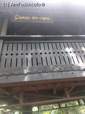 [P39] La prima vizită, Cornul Vânătorului, Piteștiv » foto by Mioritik
 - 
<span class="allrVoted glyphicon glyphicon-heart hidden" id="av1363825"></span>
<a class="m-l-10 hidden" id="sv1363825" onclick="voting_Foto_DelVot(,1363825,11962)" role="button">șterge vot <span class="glyphicon glyphicon-remove"></span></a>
<a id="v91363825" class=" c-red"  onclick="voting_Foto_SetVot(1363825)" role="button"><span class="glyphicon glyphicon-heart-empty"></span> <b>LIKE</b> = Votează poza</a> <img class="hidden"  id="f1363825W9" src="/imagini/loader.gif" border="0" /><span class="AjErrMes hidden" id="e1363825ErM"></span>