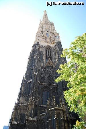 [P03] Viena, Stephansdom, Catedrala Sf. Ștefan » foto by unq
 - 
<span class="allrVoted glyphicon glyphicon-heart hidden" id="av482283"></span>
<a class="m-l-10 hidden" id="sv482283" onclick="voting_Foto_DelVot(,482283,12039)" role="button">șterge vot <span class="glyphicon glyphicon-remove"></span></a>
<a id="v9482283" class=" c-red"  onclick="voting_Foto_SetVot(482283)" role="button"><span class="glyphicon glyphicon-heart-empty"></span> <b>LIKE</b> = Votează poza</a> <img class="hidden"  id="f482283W9" src="/imagini/loader.gif" border="0" /><span class="AjErrMes hidden" id="e482283ErM"></span>