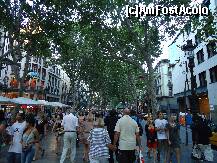 [P05] La Rambla » foto by station5*
 - 
<span class="allrVoted glyphicon glyphicon-heart hidden" id="av255614"></span>
<a class="m-l-10 hidden" id="sv255614" onclick="voting_Foto_DelVot(,255614,12198)" role="button">șterge vot <span class="glyphicon glyphicon-remove"></span></a>
<a id="v9255614" class=" c-red"  onclick="voting_Foto_SetVot(255614)" role="button"><span class="glyphicon glyphicon-heart-empty"></span> <b>LIKE</b> = Votează poza</a> <img class="hidden"  id="f255614W9" src="/imagini/loader.gif" border="0" /><span class="AjErrMes hidden" id="e255614ErM"></span>