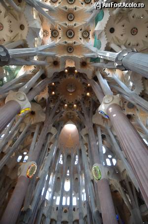 [P54] Sagrada Familia, Naosul » foto by Muffin2009*
 - 
<span class="allrVoted glyphicon glyphicon-heart hidden" id="av352238"></span>
<a class="m-l-10 hidden" id="sv352238" onclick="voting_Foto_DelVot(,352238,12198)" role="button">șterge vot <span class="glyphicon glyphicon-remove"></span></a>
<a id="v9352238" class=" c-red"  onclick="voting_Foto_SetVot(352238)" role="button"><span class="glyphicon glyphicon-heart-empty"></span> <b>LIKE</b> = Votează poza</a> <img class="hidden"  id="f352238W9" src="/imagini/loader.gif" border="0" /><span class="AjErrMes hidden" id="e352238ErM"></span>
