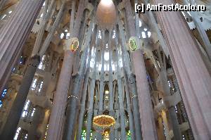 [P55] Sagrada Familia, coloanele inspirate dupa arborii Sequia » foto by Muffin2009*
 - 
<span class="allrVoted glyphicon glyphicon-heart hidden" id="av352239"></span>
<a class="m-l-10 hidden" id="sv352239" onclick="voting_Foto_DelVot(,352239,12198)" role="button">șterge vot <span class="glyphicon glyphicon-remove"></span></a>
<a id="v9352239" class=" c-red"  onclick="voting_Foto_SetVot(352239)" role="button"><span class="glyphicon glyphicon-heart-empty"></span> <b>LIKE</b> = Votează poza</a> <img class="hidden"  id="f352239W9" src="/imagini/loader.gif" border="0" /><span class="AjErrMes hidden" id="e352239ErM"></span>