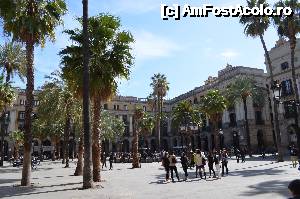 [P04] Placa Reial » foto by Bea
 - 
<span class="allrVoted glyphicon glyphicon-heart hidden" id="av496778"></span>
<a class="m-l-10 hidden" id="sv496778" onclick="voting_Foto_DelVot(,496778,12198)" role="button">șterge vot <span class="glyphicon glyphicon-remove"></span></a>
<a id="v9496778" class=" c-red"  onclick="voting_Foto_SetVot(496778)" role="button"><span class="glyphicon glyphicon-heart-empty"></span> <b>LIKE</b> = Votează poza</a> <img class="hidden"  id="f496778W9" src="/imagini/loader.gif" border="0" /><span class="AjErrMes hidden" id="e496778ErM"></span>