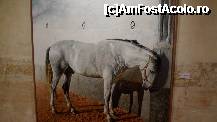 [P143] 143. Muzeul European de Artă Modernă. Andres Castellanos garcia - Caballo blanco » foto by nickro
 - 
<span class="allrVoted glyphicon glyphicon-heart hidden" id="av335740"></span>
<a class="m-l-10 hidden" id="sv335740" onclick="voting_Foto_DelVot(,335740,12198)" role="button">șterge vot <span class="glyphicon glyphicon-remove"></span></a>
<a id="v9335740" class=" c-red"  onclick="voting_Foto_SetVot(335740)" role="button"><span class="glyphicon glyphicon-heart-empty"></span> <b>LIKE</b> = Votează poza</a> <img class="hidden"  id="f335740W9" src="/imagini/loader.gif" border="0" /><span class="AjErrMes hidden" id="e335740ErM"></span>