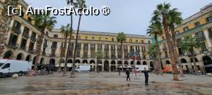 [P05] Plaça Reial şi palmierii săi » foto by irinad
 - 
<span class="allrVoted glyphicon glyphicon-heart hidden" id="av1415318"></span>
<a class="m-l-10 hidden" id="sv1415318" onclick="voting_Foto_DelVot(,1415318,12198)" role="button">șterge vot <span class="glyphicon glyphicon-remove"></span></a>
<a id="v91415318" class=" c-red"  onclick="voting_Foto_SetVot(1415318)" role="button"><span class="glyphicon glyphicon-heart-empty"></span> <b>LIKE</b> = Votează poza</a> <img class="hidden"  id="f1415318W9" src="/imagini/loader.gif" border="0" /><span class="AjErrMes hidden" id="e1415318ErM"></span>