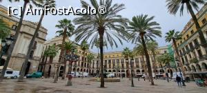 [P06] Plaça Reial şi felinarele proiectate de Antonio Gaudi » foto by irinad
 - 
<span class="allrVoted glyphicon glyphicon-heart hidden" id="av1415319"></span>
<a class="m-l-10 hidden" id="sv1415319" onclick="voting_Foto_DelVot(,1415319,12198)" role="button">șterge vot <span class="glyphicon glyphicon-remove"></span></a>
<a id="v91415319" class=" c-red"  onclick="voting_Foto_SetVot(1415319)" role="button"><span class="glyphicon glyphicon-heart-empty"></span> <b>LIKE</b> = Votează poza</a> <img class="hidden"  id="f1415319W9" src="/imagini/loader.gif" border="0" /><span class="AjErrMes hidden" id="e1415319ErM"></span>