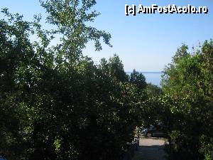 [P20] Vedere de 100 de metrii: -))) din balconul camerei. Livada cu meri, pruni, peri, flori. Mai jos brazi. Vorba fiicei mele: Am dormit la munte, am mancat la deal, ne-am scaldat la campie (piscina) si ne-am bronzat la mal (pe plaja) !  » foto by FanSejur
 - 
<span class="allrVoted glyphicon glyphicon-heart hidden" id="av347777"></span>
<a class="m-l-10 hidden" id="sv347777" onclick="voting_Foto_DelVot(,347777,12206)" role="button">șterge vot <span class="glyphicon glyphicon-remove"></span></a>
<a id="v9347777" class=" c-red"  onclick="voting_Foto_SetVot(347777)" role="button"><span class="glyphicon glyphicon-heart-empty"></span> <b>LIKE</b> = Votează poza</a> <img class="hidden"  id="f347777W9" src="/imagini/loader.gif" border="0" /><span class="AjErrMes hidden" id="e347777ErM"></span>