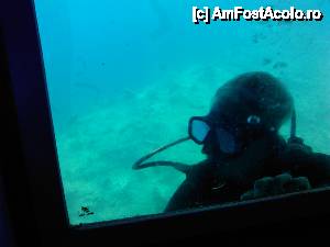 [P04] Yellow Submarine » foto by #florin#
 - 
<span class="allrVoted glyphicon glyphicon-heart hidden" id="av389872"></span>
<a class="m-l-10 hidden" id="sv389872" onclick="voting_Foto_DelVot(,389872,12232)" role="button">șterge vot <span class="glyphicon glyphicon-remove"></span></a>
<a id="v9389872" class=" c-red"  onclick="voting_Foto_SetVot(389872)" role="button"><span class="glyphicon glyphicon-heart-empty"></span> <b>LIKE</b> = Votează poza</a> <img class="hidden"  id="f389872W9" src="/imagini/loader.gif" border="0" /><span class="AjErrMes hidden" id="e389872ErM"></span>