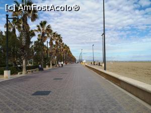 [P45] Pe superba promenadă cu palmieri din Valencia » foto by crismis
 - 
<span class="allrVoted glyphicon glyphicon-heart hidden" id="av1124330"></span>
<a class="m-l-10 hidden" id="sv1124330" onclick="voting_Foto_DelVot(,1124330,12337)" role="button">șterge vot <span class="glyphicon glyphicon-remove"></span></a>
<a id="v91124330" class=" c-red"  onclick="voting_Foto_SetVot(1124330)" role="button"><span class="glyphicon glyphicon-heart-empty"></span> <b>LIKE</b> = Votează poza</a> <img class="hidden"  id="f1124330W9" src="/imagini/loader.gif" border="0" /><span class="AjErrMes hidden" id="e1124330ErM"></span>