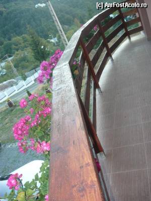 [P04] balcoul comun pt. 2 camere » foto by A.E.N
 - 
<span class="allrVoted glyphicon glyphicon-heart hidden" id="av354227"></span>
<a class="m-l-10 hidden" id="sv354227" onclick="voting_Foto_DelVot(,354227,12447)" role="button">șterge vot <span class="glyphicon glyphicon-remove"></span></a>
<a id="v9354227" class=" c-red"  onclick="voting_Foto_SetVot(354227)" role="button"><span class="glyphicon glyphicon-heart-empty"></span> <b>LIKE</b> = Votează poza</a> <img class="hidden"  id="f354227W9" src="/imagini/loader.gif" border="0" /><span class="AjErrMes hidden" id="e354227ErM"></span>