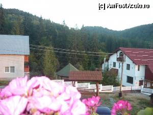 [P05] balansoarul » foto by A.E.N
 - 
<span class="allrVoted glyphicon glyphicon-heart hidden" id="av354228"></span>
<a class="m-l-10 hidden" id="sv354228" onclick="voting_Foto_DelVot(,354228,12447)" role="button">șterge vot <span class="glyphicon glyphicon-remove"></span></a>
<a id="v9354228" class=" c-red"  onclick="voting_Foto_SetVot(354228)" role="button"><span class="glyphicon glyphicon-heart-empty"></span> <b>LIKE</b> = Votează poza</a> <img class="hidden"  id="f354228W9" src="/imagini/loader.gif" border="0" /><span class="AjErrMes hidden" id="e354228ErM"></span>