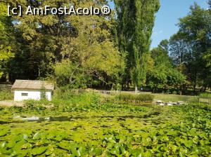 P04 [AUG-2017] Craiova - Parcul Romanescu