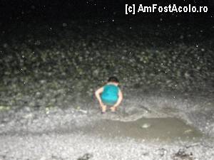[P01]  -- <small>// FĂRĂ DESCRIERE</small> » foto by anca
 - 
<span class="allrVoted glyphicon glyphicon-heart hidden" id="av361009"></span>
<a class="m-l-10 hidden" id="sv361009" onclick="voting_Foto_DelVot(,361009,12634)" role="button">șterge vot <span class="glyphicon glyphicon-remove"></span></a>
<a id="v9361009" class=" c-red"  onclick="voting_Foto_SetVot(361009)" role="button"><span class="glyphicon glyphicon-heart-empty"></span> <b>LIKE</b> = Votează poza</a> <img class="hidden"  id="f361009W9" src="/imagini/loader.gif" border="0" /><span class="AjErrMes hidden" id="e361009ErM"></span>