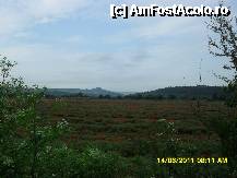 [P01] maci rosii prin Bulgaria, dupa Ruse, spre Tsar Kaloyan » foto by adryana
 - 
<span class="allrVoted glyphicon glyphicon-heart hidden" id="av215578"></span>
<a class="m-l-10 hidden" id="sv215578" onclick="voting_Foto_DelVot(,215578,12700)" role="button">șterge vot <span class="glyphicon glyphicon-remove"></span></a>
<a id="v9215578" class=" c-red"  onclick="voting_Foto_SetVot(215578)" role="button"><span class="glyphicon glyphicon-heart-empty"></span> <b>LIKE</b> = Votează poza</a> <img class="hidden"  id="f215578W9" src="/imagini/loader.gif" border="0" /><span class="AjErrMes hidden" id="e215578ErM"></span>