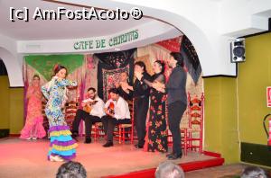 [P39] Cafe De Chinitas, tablao flamenco de excepție în Madrid » foto by Dragoș_MD
 - 
<span class="allrVoted glyphicon glyphicon-heart hidden" id="av750407"></span>
<a class="m-l-10 hidden" id="sv750407" onclick="voting_Foto_DelVot(,750407,12730)" role="button">șterge vot <span class="glyphicon glyphicon-remove"></span></a>
<a id="v9750407" class=" c-red"  onclick="voting_Foto_SetVot(750407)" role="button"><span class="glyphicon glyphicon-heart-empty"></span> <b>LIKE</b> = Votează poza</a> <img class="hidden"  id="f750407W9" src="/imagini/loader.gif" border="0" /><span class="AjErrMes hidden" id="e750407ErM"></span>