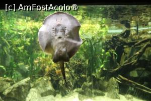 [P11]  -- <small>// FĂRĂ DESCRIERE</small> » foto by mont
 - 
<span class="allrVoted glyphicon glyphicon-heart hidden" id="av1511759"></span>
<a class="m-l-10 hidden" id="sv1511759" onclick="voting_Foto_DelVot(,1511759,12774)" role="button">șterge vot <span class="glyphicon glyphicon-remove"></span></a>
<a id="v91511759" class=" c-red"  onclick="voting_Foto_SetVot(1511759)" role="button"><span class="glyphicon glyphicon-heart-empty"></span> <b>LIKE</b> = Votează poza</a> <img class="hidden"  id="f1511759W9" src="/imagini/loader.gif" border="0" /><span class="AjErrMes hidden" id="e1511759ErM"></span>