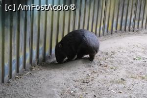 [P16]  -- <small>// FĂRĂ DESCRIERE</small> » foto by mont
 - 
<span class="allrVoted glyphicon glyphicon-heart hidden" id="av1511764"></span>
<a class="m-l-10 hidden" id="sv1511764" onclick="voting_Foto_DelVot(,1511764,12774)" role="button">șterge vot <span class="glyphicon glyphicon-remove"></span></a>
<a id="v91511764" class=" c-red"  onclick="voting_Foto_SetVot(1511764)" role="button"><span class="glyphicon glyphicon-heart-empty"></span> <b>LIKE</b> = Votează poza</a> <img class="hidden"  id="f1511764W9" src="/imagini/loader.gif" border="0" /><span class="AjErrMes hidden" id="e1511764ErM"></span>