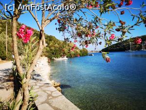 [P20] Sivota în ora de aur » foto by crismis
 - 
<span class="allrVoted glyphicon glyphicon-heart hidden" id="av1259994"></span>
<a class="m-l-10 hidden" id="sv1259994" onclick="voting_Foto_DelVot(,1259994,12776)" role="button">șterge vot <span class="glyphicon glyphicon-remove"></span></a>
<a id="v91259994" class=" c-red"  onclick="voting_Foto_SetVot(1259994)" role="button"><span class="glyphicon glyphicon-heart-empty"></span> <b>LIKE</b> = Votează poza</a> <img class="hidden"  id="f1259994W9" src="/imagini/loader.gif" border="0" /><span class="AjErrMes hidden" id="e1259994ErM"></span>
