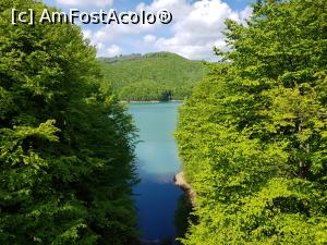 P04 [MAY-2019] De la Marea Roşie la Marea Verde - lacul de acumulare de la barajul Paltinu