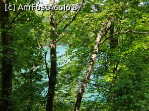 P05 [MAY-2019] De la Marea Roşie la Marea Verde - lacul de acumulare de la barajul Paltinu