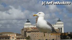 [P15] Monumentul Vittorio Emanuelle... în spatele pescărușului » foto by vivas71
 - 
<span class="allrVoted glyphicon glyphicon-heart hidden" id="av410033"></span>
<a class="m-l-10 hidden" id="sv410033" onclick="voting_Foto_DelVot(,410033,12807)" role="button">șterge vot <span class="glyphicon glyphicon-remove"></span></a>
<a id="v9410033" class=" c-red"  onclick="voting_Foto_SetVot(410033)" role="button"><span class="glyphicon glyphicon-heart-empty"></span> <b>LIKE</b> = Votează poza</a> <img class="hidden"  id="f410033W9" src="/imagini/loader.gif" border="0" /><span class="AjErrMes hidden" id="e410033ErM"></span>