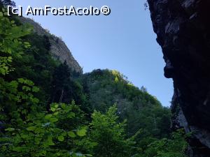 [P10] Natură superbă pe meleaguri vrâncene. » foto by Floryn81
 - 
<span class="allrVoted glyphicon glyphicon-heart hidden" id="av1173840"></span>
<a class="m-l-10 hidden" id="sv1173840" onclick="voting_Foto_DelVot(,1173840,12947)" role="button">șterge vot <span class="glyphicon glyphicon-remove"></span></a>
<a id="v91173840" class=" c-red"  onclick="voting_Foto_SetVot(1173840)" role="button"><span class="glyphicon glyphicon-heart-empty"></span> <b>LIKE</b> = Votează poza</a> <img class="hidden"  id="f1173840W9" src="/imagini/loader.gif" border="0" /><span class="AjErrMes hidden" id="e1173840ErM"></span>