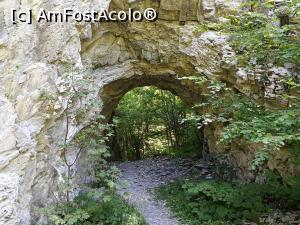 [P23] Tunel » foto by ancutza26
 - 
<span class="allrVoted glyphicon glyphicon-heart hidden" id="av894202"></span>
<a class="m-l-10 hidden" id="sv894202" onclick="voting_Foto_DelVot(,894202,12947)" role="button">șterge vot <span class="glyphicon glyphicon-remove"></span></a>
<a id="v9894202" class=" c-red"  onclick="voting_Foto_SetVot(894202)" role="button"><span class="glyphicon glyphicon-heart-empty"></span> <b>LIKE</b> = Votează poza</a> <img class="hidden"  id="f894202W9" src="/imagini/loader.gif" border="0" /><span class="AjErrMes hidden" id="e894202ErM"></span>