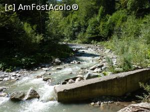 [P56] Rezervatia Tisita 2016-aceste resturi ne arata ce poate face natura » foto by mishu
 - 
<span class="allrVoted glyphicon glyphicon-heart hidden" id="av794237"></span>
<a class="m-l-10 hidden" id="sv794237" onclick="voting_Foto_DelVot(,794237,12947)" role="button">șterge vot <span class="glyphicon glyphicon-remove"></span></a>
<a id="v9794237" class=" c-red"  onclick="voting_Foto_SetVot(794237)" role="button"><span class="glyphicon glyphicon-heart-empty"></span> <b>LIKE</b> = Votează poza</a> <img class="hidden"  id="f794237W9" src="/imagini/loader.gif" border="0" /><span class="AjErrMes hidden" id="e794237ErM"></span>