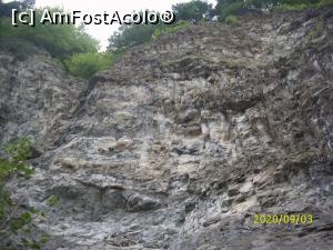 [P12] Pereții cheilor » foto by puiutea <span class="label label-default labelC_thin small">NEVOTABILĂ</span>