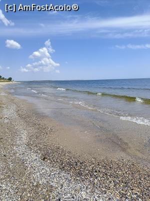 [P10] Nisip și scoici. » foto by tata123 🔱
 - 
<span class="allrVoted glyphicon glyphicon-heart hidden" id="av1370233"></span>
<a class="m-l-10 hidden" id="sv1370233" onclick="voting_Foto_DelVot(,1370233,13043)" role="button">șterge vot <span class="glyphicon glyphicon-remove"></span></a>
<a id="v91370233" class=" c-red"  onclick="voting_Foto_SetVot(1370233)" role="button"><span class="glyphicon glyphicon-heart-empty"></span> <b>LIKE</b> = Votează poza</a> <img class="hidden"  id="f1370233W9" src="/imagini/loader.gif" border="0" /><span class="AjErrMes hidden" id="e1370233ErM"></span>