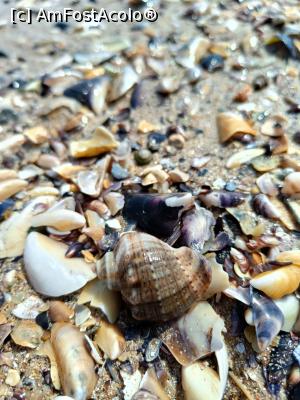 [P12] Sortimente... » foto by tata123 🔱
 - 
<span class="allrVoted glyphicon glyphicon-heart hidden" id="av1370235"></span>
<a class="m-l-10 hidden" id="sv1370235" onclick="voting_Foto_DelVot(,1370235,13043)" role="button">șterge vot <span class="glyphicon glyphicon-remove"></span></a>
<a id="v91370235" class=" c-red"  onclick="voting_Foto_SetVot(1370235)" role="button"><span class="glyphicon glyphicon-heart-empty"></span> <b>LIKE</b> = Votează poza</a> <img class="hidden"  id="f1370235W9" src="/imagini/loader.gif" border="0" /><span class="AjErrMes hidden" id="e1370235ErM"></span>