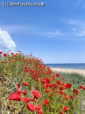 [P13] Perioada macilor. » foto by tata123 🔱
 - 
<span class="allrVoted glyphicon glyphicon-heart hidden" id="av1370236"></span>
<a class="m-l-10 hidden" id="sv1370236" onclick="voting_Foto_DelVot(,1370236,13043)" role="button">șterge vot <span class="glyphicon glyphicon-remove"></span></a>
<a id="v91370236" class=" c-red"  onclick="voting_Foto_SetVot(1370236)" role="button"><span class="glyphicon glyphicon-heart-empty"></span> <b>LIKE</b> = Votează poza</a> <img class="hidden"  id="f1370236W9" src="/imagini/loader.gif" border="0" /><span class="AjErrMes hidden" id="e1370236ErM"></span>