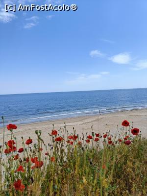 [P15] La Shablenska Tuzla . » foto by tata123 🔱
 - 
<span class="allrVoted glyphicon glyphicon-heart hidden" id="av1370238"></span>
<a class="m-l-10 hidden" id="sv1370238" onclick="voting_Foto_DelVot(,1370238,13043)" role="button">șterge vot <span class="glyphicon glyphicon-remove"></span></a>
<a id="v91370238" class=" c-red"  onclick="voting_Foto_SetVot(1370238)" role="button"><span class="glyphicon glyphicon-heart-empty"></span> <b>LIKE</b> = Votează poza</a> <img class="hidden"  id="f1370238W9" src="/imagini/loader.gif" border="0" /><span class="AjErrMes hidden" id="e1370238ErM"></span>