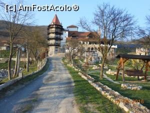 P02 [MAR-2016] Castelul Lupilor - Aleea și parcul. Vedere de la poartă. 