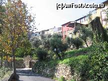 [P09] Strada principala » foto by Michi
 - 
<span class="allrVoted glyphicon glyphicon-heart hidden" id="av381983"></span>
<a class="m-l-10 hidden" id="sv381983" onclick="voting_Foto_DelVot(,381983,13123)" role="button">șterge vot <span class="glyphicon glyphicon-remove"></span></a>
<a id="v9381983" class=" c-red"  onclick="voting_Foto_SetVot(381983)" role="button"><span class="glyphicon glyphicon-heart-empty"></span> <b>LIKE</b> = Votează poza</a> <img class="hidden"  id="f381983W9" src="/imagini/loader.gif" border="0" /><span class="AjErrMes hidden" id="e381983ErM"></span>