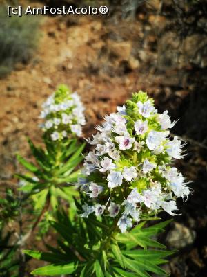 [P39] Barranco de Las Vacas » foto by crismis
 - 
<span class="allrVoted glyphicon glyphicon-heart hidden" id="av1290186"></span>
<a class="m-l-10 hidden" id="sv1290186" onclick="voting_Foto_DelVot(,1290186,13127)" role="button">șterge vot <span class="glyphicon glyphicon-remove"></span></a>
<a id="v91290186" class=" c-red"  onclick="voting_Foto_SetVot(1290186)" role="button"><span class="glyphicon glyphicon-heart-empty"></span> <b>LIKE</b> = Votează poza</a> <img class="hidden"  id="f1290186W9" src="/imagini/loader.gif" border="0" /><span class="AjErrMes hidden" id="e1290186ErM"></span>