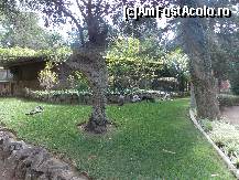 [P11] parc maresal Carmona cu pauni, cocosi pitici, etc.  » foto by mprofeanu
 - 
<span class="allrVoted glyphicon glyphicon-heart hidden" id="av383295"></span>
<a class="m-l-10 hidden" id="sv383295" onclick="voting_Foto_DelVot(,383295,13155)" role="button">șterge vot <span class="glyphicon glyphicon-remove"></span></a>
<a id="v9383295" class=" c-red"  onclick="voting_Foto_SetVot(383295)" role="button"><span class="glyphicon glyphicon-heart-empty"></span> <b>LIKE</b> = Votează poza</a> <img class="hidden"  id="f383295W9" src="/imagini/loader.gif" border="0" /><span class="AjErrMes hidden" id="e383295ErM"></span>
