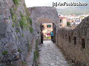 [P82]  -- <small>// FĂRĂ DESCRIERE</small> » foto by ionescunic
 - 
<span class="allrVoted glyphicon glyphicon-heart hidden" id="av402546"></span>
<a class="m-l-10 hidden" id="sv402546" onclick="voting_Foto_DelVot(,402546,13156)" role="button">șterge vot <span class="glyphicon glyphicon-remove"></span></a>
<a id="v9402546" class=" c-red"  onclick="voting_Foto_SetVot(402546)" role="button"><span class="glyphicon glyphicon-heart-empty"></span> <b>LIKE</b> = Votează poza</a> <img class="hidden"  id="f402546W9" src="/imagini/loader.gif" border="0" /><span class="AjErrMes hidden" id="e402546ErM"></span>