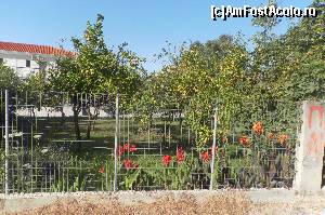 [P52] asta vezi în Valtos » foto by marocanu21
 - 
<span class="allrVoted glyphicon glyphicon-heart hidden" id="av589425"></span>
<a class="m-l-10 hidden" id="sv589425" onclick="voting_Foto_DelVot(,589425,13156)" role="button">șterge vot <span class="glyphicon glyphicon-remove"></span></a>
<a id="v9589425" class=" c-red"  onclick="voting_Foto_SetVot(589425)" role="button"><span class="glyphicon glyphicon-heart-empty"></span> <b>LIKE</b> = Votează poza</a> <img class="hidden"  id="f589425W9" src="/imagini/loader.gif" border="0" /><span class="AjErrMes hidden" id="e589425ErM"></span>