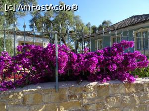 [P16] in drum spre plaja » foto by sniga
 - 
<span class="allrVoted glyphicon glyphicon-heart hidden" id="av755887"></span>
<a class="m-l-10 hidden" id="sv755887" onclick="voting_Foto_DelVot(,755887,13156)" role="button">șterge vot <span class="glyphicon glyphicon-remove"></span></a>
<a id="v9755887" class=" c-red"  onclick="voting_Foto_SetVot(755887)" role="button"><span class="glyphicon glyphicon-heart-empty"></span> <b>LIKE</b> = Votează poza</a> <img class="hidden"  id="f755887W9" src="/imagini/loader.gif" border="0" /><span class="AjErrMes hidden" id="e755887ErM"></span>