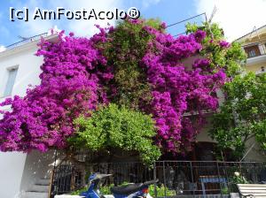 [P19]  -- <small>// FĂRĂ DESCRIERE</small> » foto by sniga
 - 
<span class="allrVoted glyphicon glyphicon-heart hidden" id="av755890"></span>
<a class="m-l-10 hidden" id="sv755890" onclick="voting_Foto_DelVot(,755890,13156)" role="button">șterge vot <span class="glyphicon glyphicon-remove"></span></a>
<a id="v9755890" class=" c-red"  onclick="voting_Foto_SetVot(755890)" role="button"><span class="glyphicon glyphicon-heart-empty"></span> <b>LIKE</b> = Votează poza</a> <img class="hidden"  id="f755890W9" src="/imagini/loader.gif" border="0" /><span class="AjErrMes hidden" id="e755890ErM"></span>