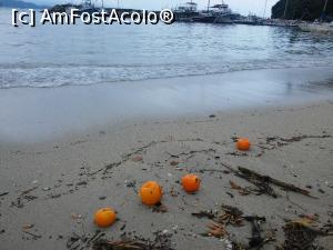 [P05] am avut o zi cu cod portocaliu, valurile au adus lamai si portocale » foto by sniga
 - 
<span class="allrVoted glyphicon glyphicon-heart hidden" id="av755876"></span>
<a class="m-l-10 hidden" id="sv755876" onclick="voting_Foto_DelVot(,755876,13156)" role="button">șterge vot <span class="glyphicon glyphicon-remove"></span></a>
<a id="v9755876" class=" c-red"  onclick="voting_Foto_SetVot(755876)" role="button"><span class="glyphicon glyphicon-heart-empty"></span> <b>LIKE</b> = Votează poza</a> <img class="hidden"  id="f755876W9" src="/imagini/loader.gif" border="0" /><span class="AjErrMes hidden" id="e755876ErM"></span>