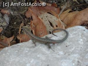 [P14]  -- <small>// FĂRĂ DESCRIERE</small> » foto by sniga
 - 
<span class="allrVoted glyphicon glyphicon-heart hidden" id="av756029"></span>
<a class="m-l-10 hidden" id="sv756029" onclick="voting_Foto_DelVot(,756029,13156)" role="button">șterge vot <span class="glyphicon glyphicon-remove"></span></a>
<a id="v9756029" class=" c-red"  onclick="voting_Foto_SetVot(756029)" role="button"><span class="glyphicon glyphicon-heart-empty"></span> <b>LIKE</b> = Votează poza</a> <img class="hidden"  id="f756029W9" src="/imagini/loader.gif" border="0" /><span class="AjErrMes hidden" id="e756029ErM"></span>