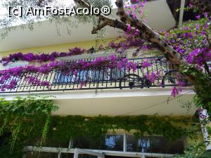 [P04] tot la taverna din centrul satului, cum stati cu fata la ea, faceti dreapta pana la un mic magazin pe colt cu strada care pe care se iese din sat spre castel » foto by sniga
 - 
<span class="allrVoted glyphicon glyphicon-heart hidden" id="av755993"></span>
<a class="m-l-10 hidden" id="sv755993" onclick="voting_Foto_DelVot(,755993,13156)" role="button">șterge vot <span class="glyphicon glyphicon-remove"></span></a>
<a id="v9755993" class=" c-red"  onclick="voting_Foto_SetVot(755993)" role="button"><span class="glyphicon glyphicon-heart-empty"></span> <b>LIKE</b> = Votează poza</a> <img class="hidden"  id="f755993W9" src="/imagini/loader.gif" border="0" /><span class="AjErrMes hidden" id="e755993ErM"></span>